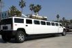 Texas Limousine Insurance